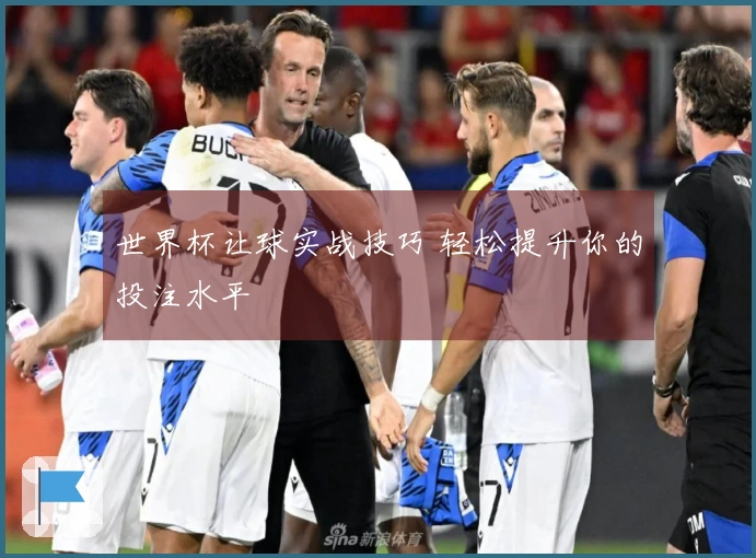 世界杯让球实战技巧 轻松提升你的投注水平